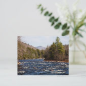 ドライトピエール ポストカード (スタンド正面)