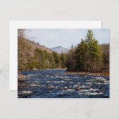 ドライトピエール ポストカード (正面/裏面)