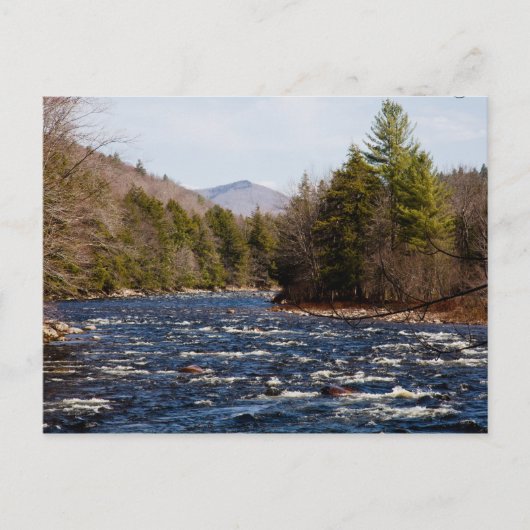 ドライトピエール ポストカード (正面)