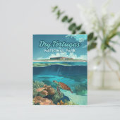 ドライトルトゥガス国立公園フロリダタートルカード (スタンド正面)