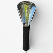 ドライバーの頭部のナランデラの写真