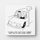 ドライバーはチーズの通過速度カメラと言う。おもしろい フォトプラーク (正面)