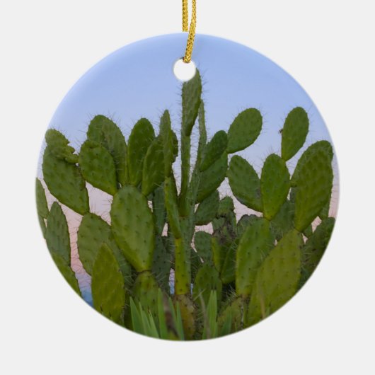 ドライフォレストのサボテンとサイザル セラミックオーナメント (正面)