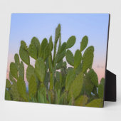 ドライフォレストのサボテンとサイザル フォトプラーク (側面)