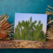 ドライフォレストのサボテンとサイザル フォトプラーク (側面)