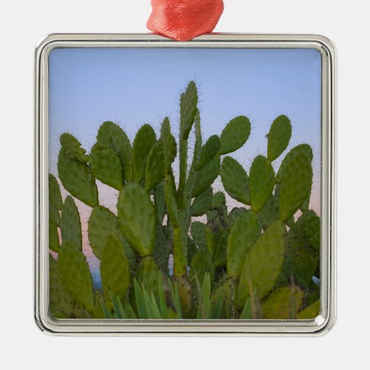 ドライフォレストのサボテンとサイザル メタルオーナメント (正面)