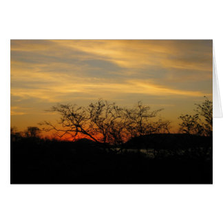 ドライフォレストの夕日