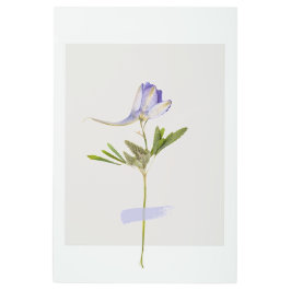 ドライフラワーメタルウォールアートデザイン メタルプリント