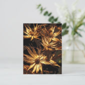 ドライフラワー抽象芸術 ポストカード (スタンド正面)