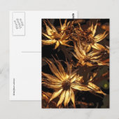 ドライフラワー抽象芸術 ポストカード (正面/裏面)