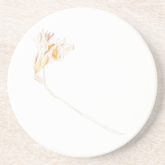 ドライフリーシア第3号 コースター (正面)