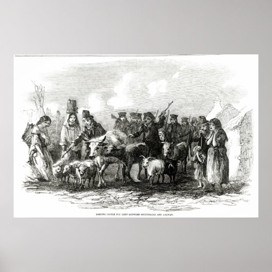 ドライブキャトルによる賃貸料 ポスター (正面)