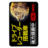 ドライブレコー警告ダのプレート(LION) マグネット (縦)