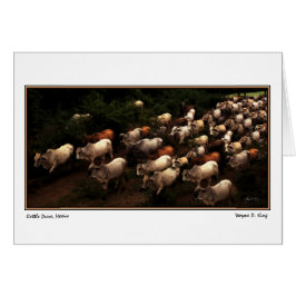 ドライブ家、メキシコ