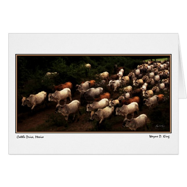 ドライブ家、メキシコ (正面横)