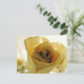 ドライホワイトローズ葉書 ポストカード (スタンド正面)