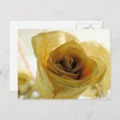 ドライホワイトローズ葉書 ポストカード (正面/裏面)