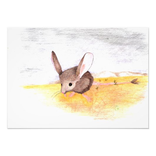 ドライマウス フォトプリント            (正面)