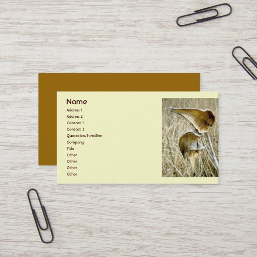 ドライミルクウィードのポッド名刺 名刺 (正面/裏面インサイチュ)