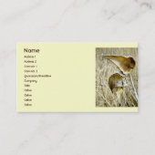 ドライミルクウィードのポッド名刺 名刺 (正面)