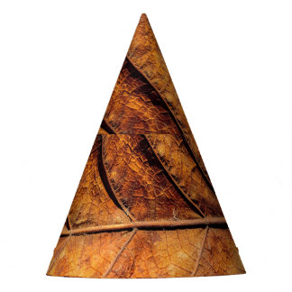 ドライリーフ：自然なテクスチャの背景。 パーティーハット