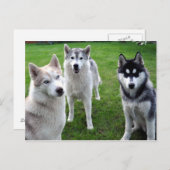 ドライレイ ポストカード (正面/裏面)