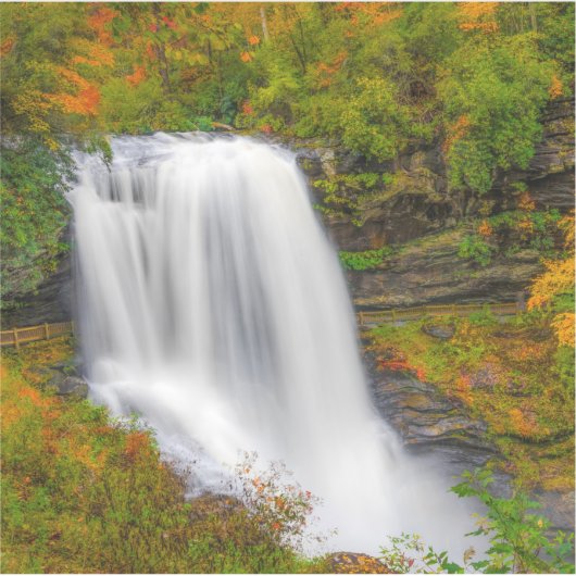 ドライ滝ノースカロライナ シール (正面)