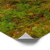 ドライ滝ノースカロライナ ポスター (角)