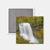 ドライ滝ノースカロライナ マグネット (正面/裏面)