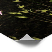 ドライ独身のード ポスター (角)