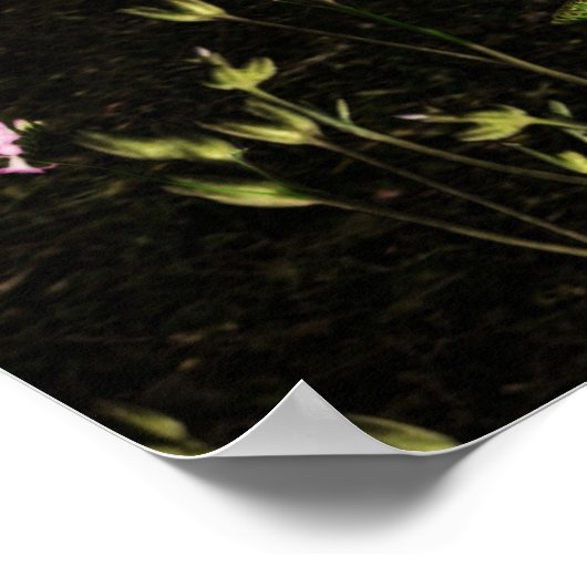 ドライ独身のード ポスター (角)