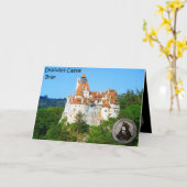 ドラキュラの城、ぬか カード (黄色い花)