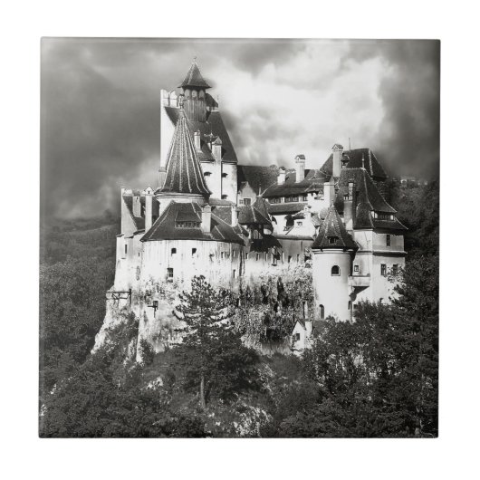 ドラキュラの城、トランシルバニア タイル (正面)