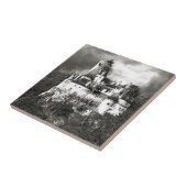 ドラキュラの城、トランシルバニア タイル (側面)