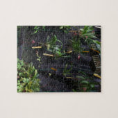 ドラキュラオーキッド ジグソーパズル (横)