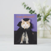 ドラキュラババ ポストカード (スタンド正面)