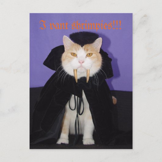 ドラキュラババ ポストカード (正面)