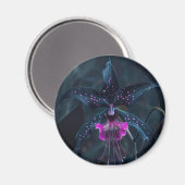 ドラキュララン磁石 マグネット (正面/裏面)