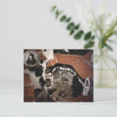 ドラキュラ城内 ポストカード (スタンド正面)