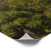 ドラキュラ城、トランシルバニアを支配 ポスター (角)