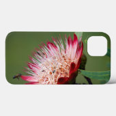 ドラケンスバーグシュガーブッシュ (Protea Dracomontana) Case-Mate iPhoneケース (裏面 (横))