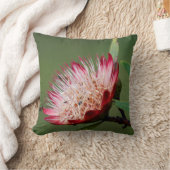 ドラケンズベルク·シュガーブッシュ（プロテア·ドラコモンタナ） クッション (ブランケット)