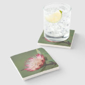 ドラケンズベルク·シュガーブッシュ（プロテア·ドラコモンタナ） ストーンコースター (横)