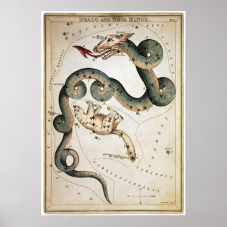 ドラコとウルサのマイナー ポスター