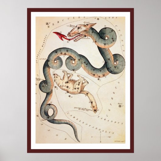 ドラコとウルサマイナーバイシドニーホール ポスター (正面)