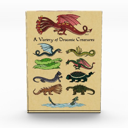 ドラコニックな様々な生き物 フォトブロック (正面)