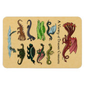 ドラコニックな様々な生き物 マグネット (横)