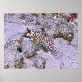 ドラゴネテ ポスター (正面)