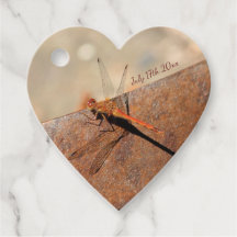 ドラゴファンシーボ結婚イ病