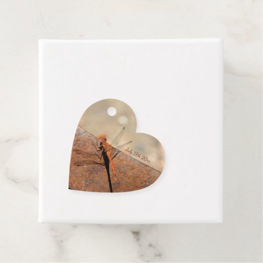 ドラゴファンシーボ結婚イ病 フェイバータグ (インサイチュ)